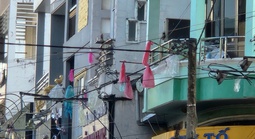 Cách đối phó hàng ngàn con chim én ở Cần Thơ trú ngụ quá lâu