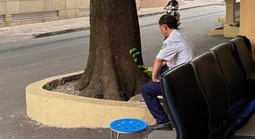 Giữ nhịp xuân cho đời, lặng lẽ đón Tết riêng mình