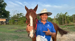 Đầu xuân Bính Ngọ 2026: Thăm trang trại ngựa lớn nhất TPHCM