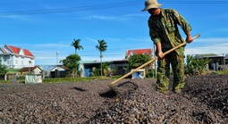 Khám phá vùng cà phê sạch độc đáo ở Tây Nguyên