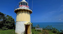 Canh “mắt biển” trăm tuổi trên đỉnh Sơn Trà