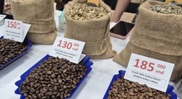 Giá cà phê hôm nay 19-2: Quay đầu đi lên