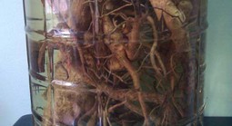 Hai người tử vong sau khi uống rượu ngâm, Bộ Y tế chỉ đạo khẩn