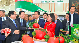 Bước chạy đà cho thị trường Tết