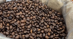 Giá cà phê hôm nay 2-2: Mỹ bất ngờ tăng mua cà phê Việt Nam