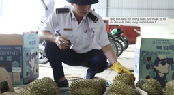 Gỡ vướng kiểm tra nông sản, thực phẩm nhập khẩu