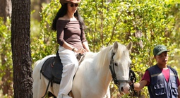 Trải nghiệm cưỡi ngựa giữa rừng già Măng Đen