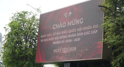 TPHCM tổ chức bầu cử đại biểu Quốc hội và HĐND sớm vào mùng 10 Tết Bính Ngọ