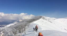 Lạc trên núi tuyết Nhật Bản, một phụ nữ Việt Nam tử nạn