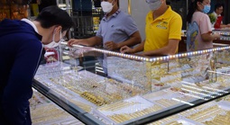 Giá vàng hôm nay 21-2: Vàng thế giới tăng mạnh