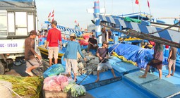 CLIP: Mở biển đầu Xuân, ngư dân Lâm Đồng kỳ vọng mùa cá bội thu