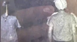 Trích xuất camera, Công an TPHCM  bắt 3 thanh thiếu niên cướp giật lúc rạng sáng