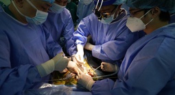 Viết tiếp kỳ tích ghép tạng Việt