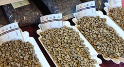 Giá cà phê hôm nay 24-2: Đi xuống, ông lớn cà phê than giá cao