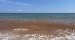 Nước biển ở Gia Lai bất ngờ đổi màu đỏ lạ, người dân lo ngại