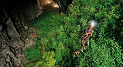 Gần 4.400 loài động, thực vật được ghi nhận ở Phong Nha - Kẻ Bàng