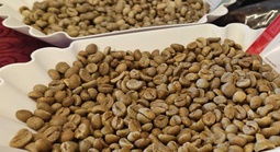 Giá cà phê hôm nay 25-2: Quay đầu tăng mạnh, chưa đến lúc lo thừa cung