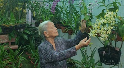 Cuộc thi "Tết xanh": Những sắc màu Tết của tôi