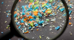 Vi nhựa xuất hiện trong một loạt khối u ung thư