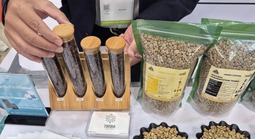 Giá cà phê hôm nay 26-2: Robusta tăng tiếp, Brazil khan hàng