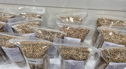 Giá cà phê hôm nay 27-2: Đi lùi, thị trường sắp cân bằng?