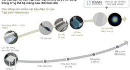 Axit amin: Hành trình từ vị umami đến “trái tim” của chip công nghệ toàn cầu