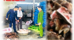 Thu giữ 6 tấn chân trâu thối suýt tuồn vào quán nhậu