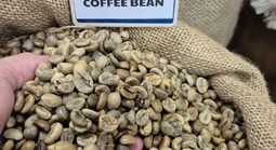 Giá cà phê hôm nay 28-2: Biến động liên tục, Chủ tịch VICOFA nói gì?