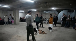 Việt Nam khuyến cáo khẩn cộng đồng người Việt tại Israel