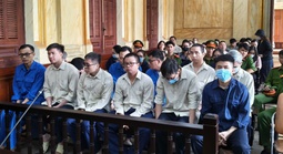 Bột đạm, bột huyết động vật nhiễm dịch tả lợn Châu Phi "tuồn" vào thị trường: Cán bộ thú y hầu toà