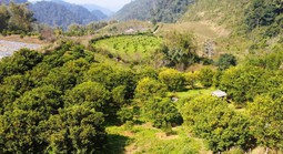 Giá thuê đất công ích quá cao, Thanh Hóa xin ý kiến Trung ương