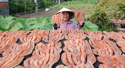 "Bật mí" công thức ướp khô cá lóc ở Cần Thơ