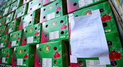 Đề nghị phối hợp cung cấp thông tin về hàng hóa tồn đọng