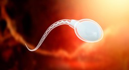 Hay dùng đồ nhựa "1 lần", quý ông có thể gặp nguy