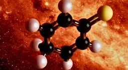 Sự xuất hiện gây sốc của "tiền thân sự sống"