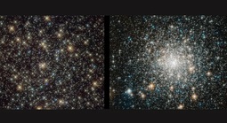 Phát hiện rùng mình về “sinh vật bất tử” của vũ trụ