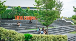 Thu nhập "khủng" của nhân viên công ty đứng sau Zalo khiến nhiều người mơ ước