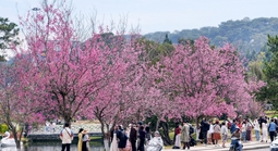 Lâm Đồng quyết tâm tăng trưởng 2 con số trong năm 2026