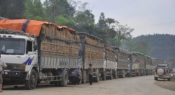 Tạm dừng áp dụng Nghị định 46 về an toàn thực phẩm đến 15-4