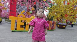 Người dân háo hức với con đường hoa đào, hoa mai ở phường Chánh Hiệp