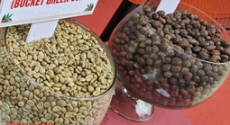 Giá cà phê hôm nay 7-2: Chốt tuần giảm mạnh 