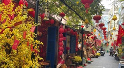 Sắc xuân len lỏi vào từng con hẻm TP HCM