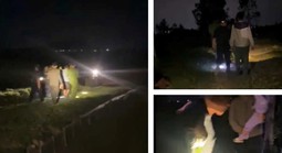 Người phụ nữ đi trên đường bị khống chế đưa vào nơi vắng người trong đêm