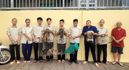 Công an ở TPHCM bắt nhiều người sau khi kiểm tra một căn nhà