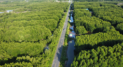 Hiệu quả thiết thực từ MCRP