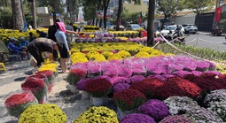 Toàn cảnh các chợ hoa Tết ở TPHCM trước ngày mở cửa chính thức