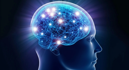 Phát hiện “công tắc" đảo ngược lão hóa