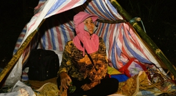 Xuyên đêm trông đào, quất trong giá rét