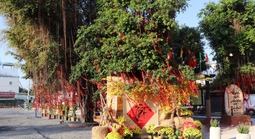 Một phường ở TPHCM làm công viên có sân pickleball, cầu lông