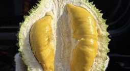 Giá sầu riêng Musang King rẻ đến bất ngờ